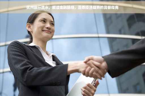 抚州银行流水，解读金融脉络，洞悉经济趋势的洞察指南