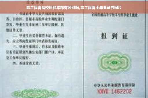 哈工程青岛校区和本部有区别吗,哈工程博士毕业证书图片