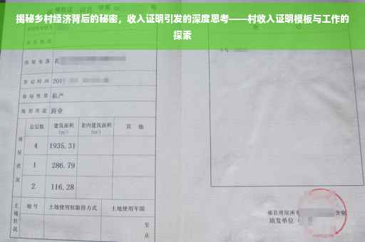 揭秘乡村经济背后的秘密，收入证明引发的深度思考——村收入证明模板与工作的探索