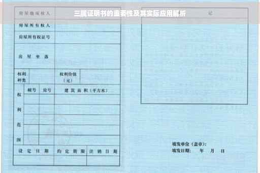 三属证明书的重要性及其实际应用解析