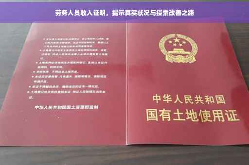 劳务人员收入证明，揭示真实状况与探索改善之路