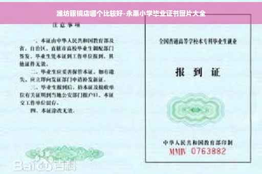 潍坊眼镜店哪个比较好-永惠小学毕业证书图片大全