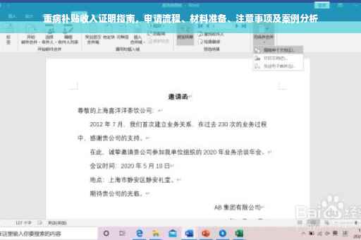 重病补贴收入证明指南，申请流程、材料准备、注意事项及案例分析