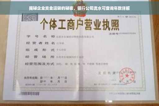 揭秘企业资金运转的秘密，银行公司流水可查询年数详解