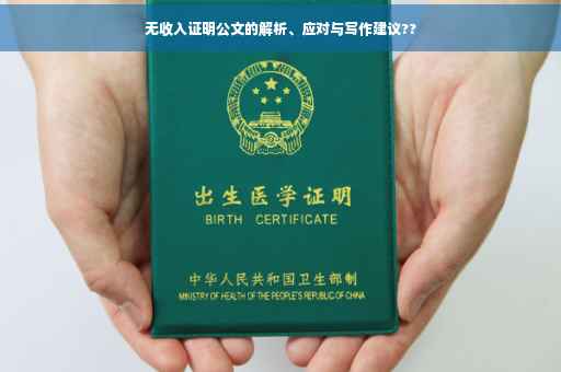 无收入证明公文的解析、应对与写作建议??