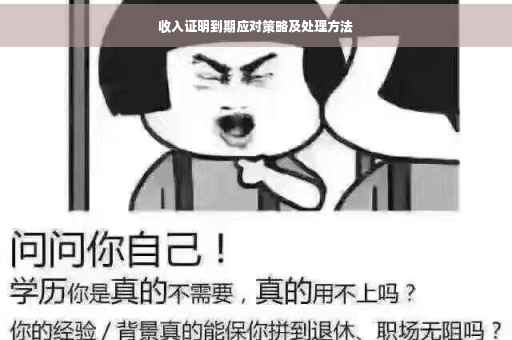 收入证明到期应对策略及处理方法