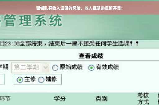 警惕乱开收入证明的风险，收入证明需谨慎开具！