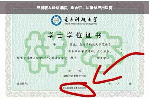 党费收入证明详解，重要性、写法及应用指南