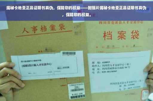 揭秘卡地亚正品证明书真伪，保障您的权益——附图片揭秘卡地亚正品证明书真伪，保障您的权益。