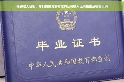 揭秘收入证明，如何提供真实有效的公司收入证明指南及模板示例