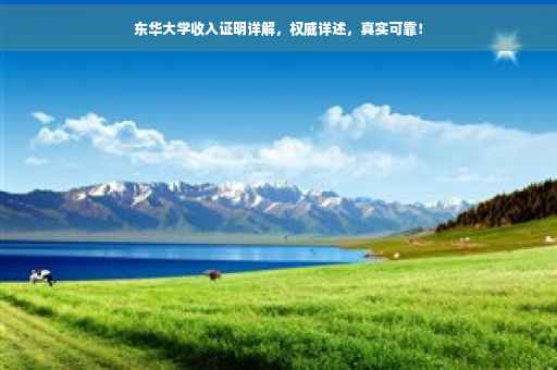东华大学收入证明详解，权威详述，真实可靠！