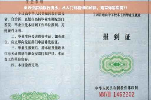 全方位解读银行流水，从入门到精通的秘籍，附言详解指南??