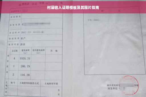 村居收入证明模板及其图片指南