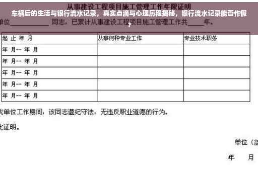 车祸后的生活与银行流水记录，真实点滴与心理历程揭秘，银行流水记录能否作假？