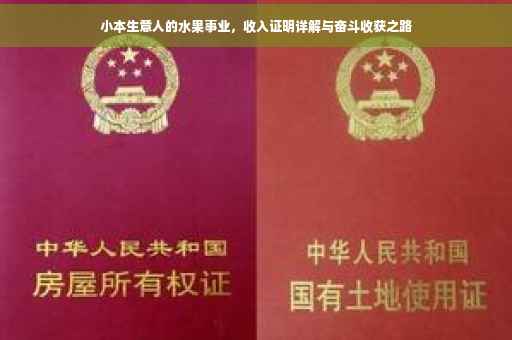 小本生意人的水果事业，收入证明详解与奋斗收获之路