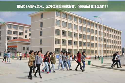揭秘DSA银行流水，全方位解读账单细节，洞悉金融生活全貌???