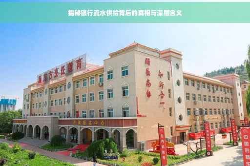 揭秘银行流水供给背后的真相与深层含义