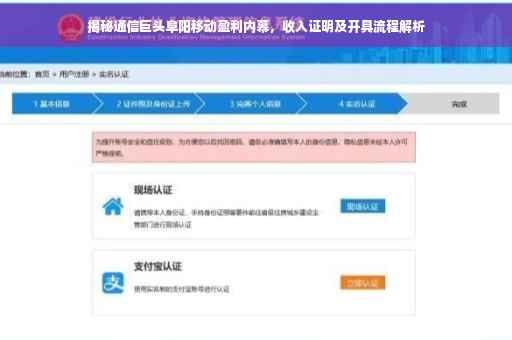 揭秘通信巨头阜阳移动盈利内幕，收入证明及开具流程解析