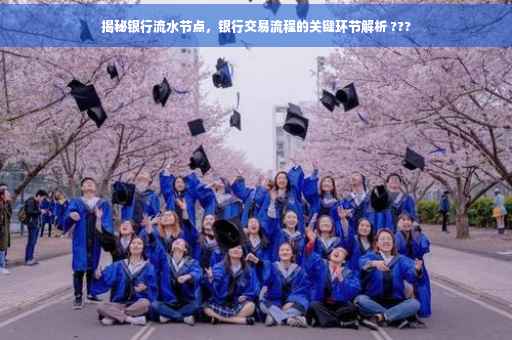 揭秘银行流水节点，银行交易流程的关键环节解析 ???