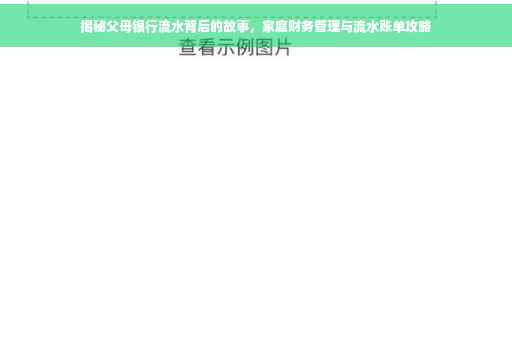 揭秘父母银行流水背后的故事，家庭财务管理与流水账单攻略