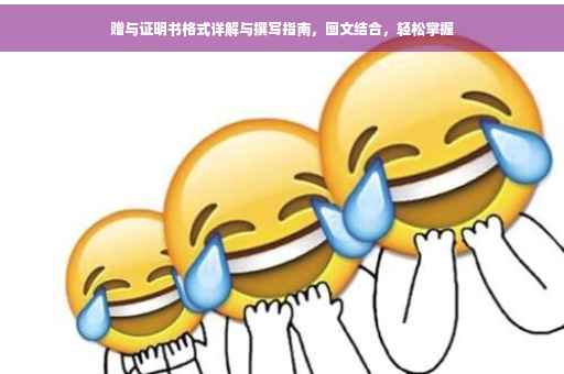 赠与证明书格式详解与撰写指南，图文结合，轻松掌握