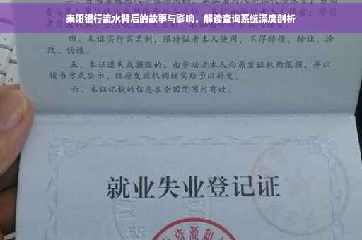 耒阳银行流水背后的故事与影响，解读查询系统深度剖析