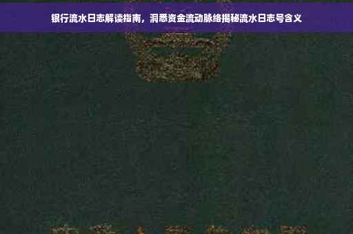 银行流水日志解读指南，洞悉资金流动脉络揭秘流水日志号含义