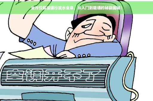 全方位解读银行流水全息，从入门到精通的秘籍揭秘！