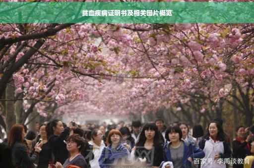 贫血疾病证明书及相关图片概览