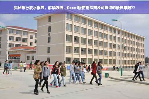 揭秘银行流水报告，解读方法、Excel版使用指南及可查询的最长年限??