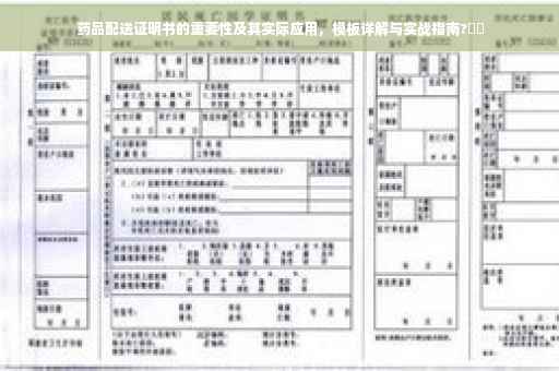 药品配送证明书的重要性及其实际应用，模板详解与实战指南?⚡️