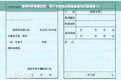 揭秘财务健康状态，银行半年流水账单解读与打印指南 ??