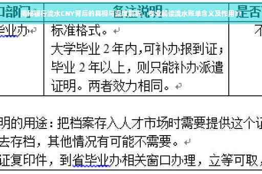 揭秘银行流水CNY背后的真相与深度解析，专业解读流水账单含义及作用??