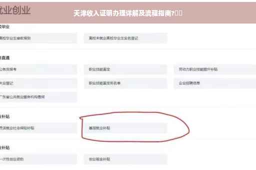 天津收入证明办理详解及流程指南?⚡️