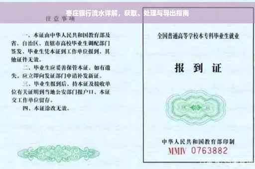 枣庄银行流水详解，获取、处理与导出指南