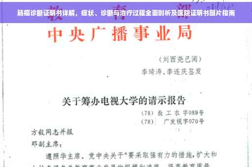 肠癌诊断证明书详解，症状、诊断与治疗过程全面剖析及医院证明书图片指南