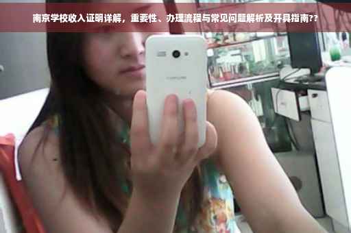 南京学校收入证明详解，重要性、办理流程与常见问题解析及开具指南??