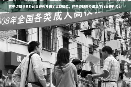 怀孕证明书照片的重要性及相关事项详解，怀孕证明图片与单子的重要性探讨