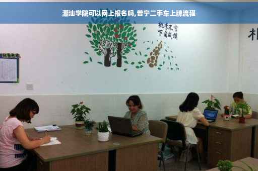 潮汕学院可以网上报名吗,普宁二手车上牌流程