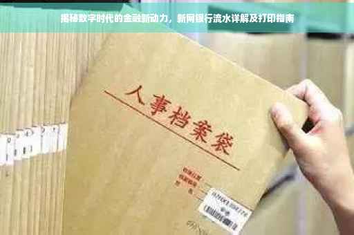 揭秘数字时代的金融新动力，新网银行流水详解及打印指南