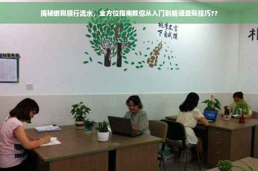 揭秘缴税银行流水，全方位指南教你从入门到精通查账技巧??