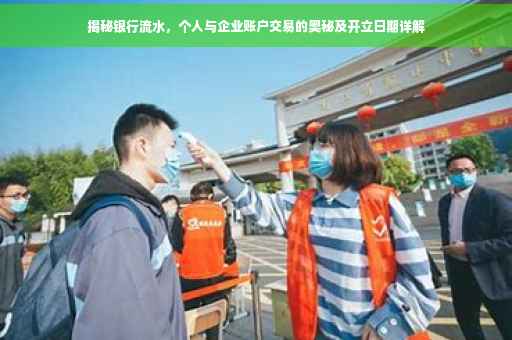 揭秘银行流水，个人与企业账户交易的奥秘及开立日期详解