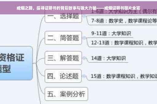 戒烟之路，探寻证明书的背后故事与强大力量——戒烟证明书图片全览