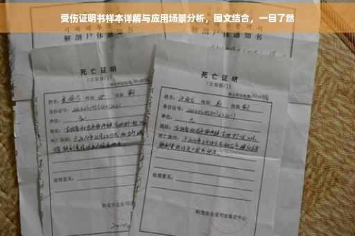 受伤证明书样本详解与应用场景分析，图文结合，一目了然