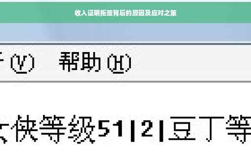 收入证明拒签背后的原因及应对之策