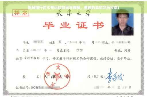 揭秘银行流水背后的故事与真相，爸爸的真实经历分享！