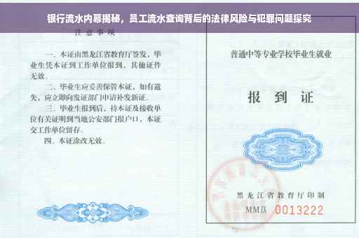 银行流水内幕揭秘，员工流水查询背后的法律风险与犯罪问题探究