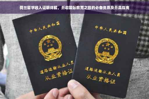 荷兰留学收入证明详解，开启国际教育之旅的必备资质及开具指南