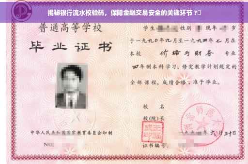 揭秘银行流水校验码，保障金融交易安全的关键环节 ?✨