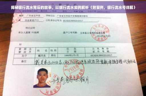 揭秘银行流水背后的故事，以银行流水实例解析（附案例，银行流水号详解）